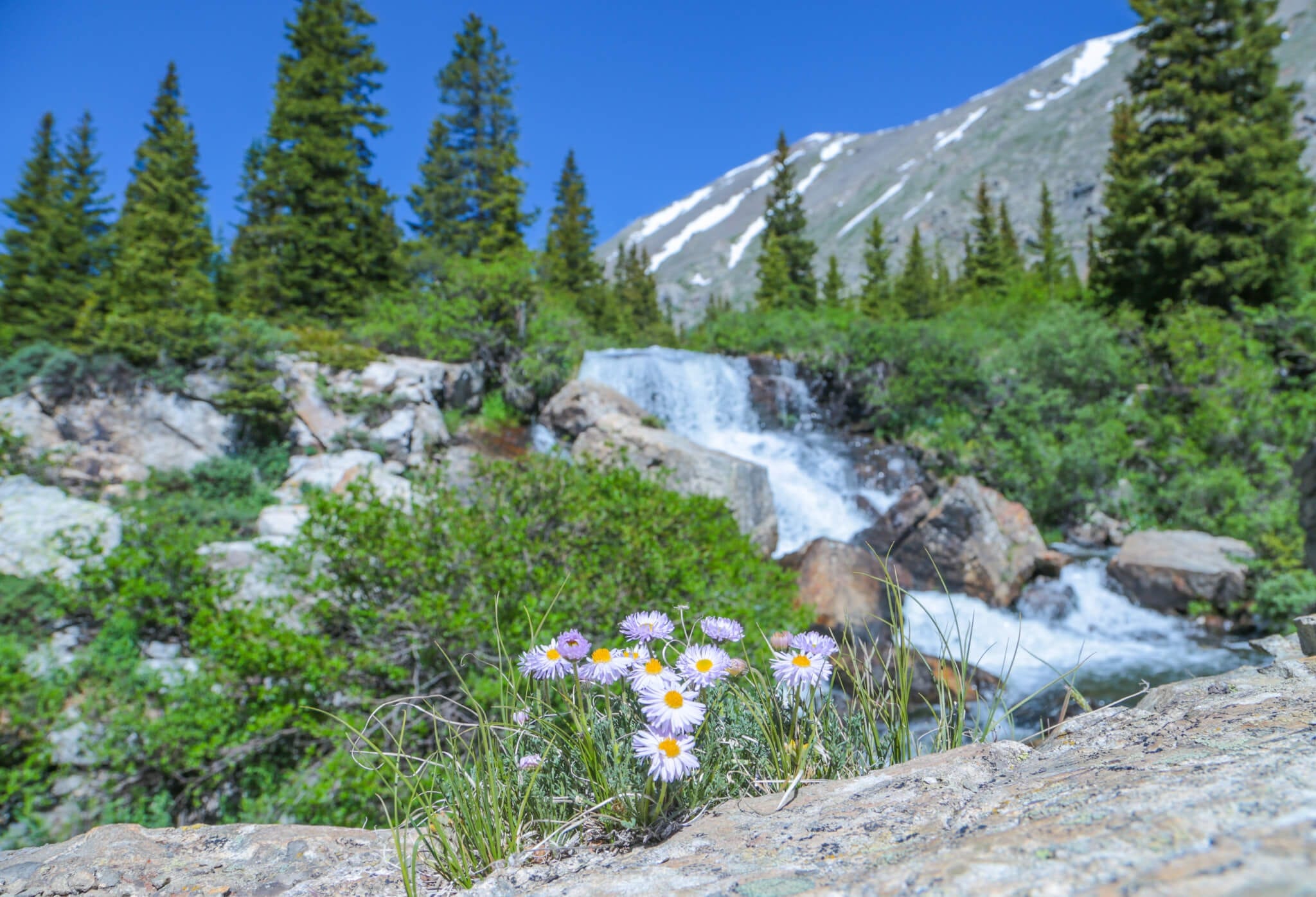 Waterfall in Blue Lakes with wildflowers