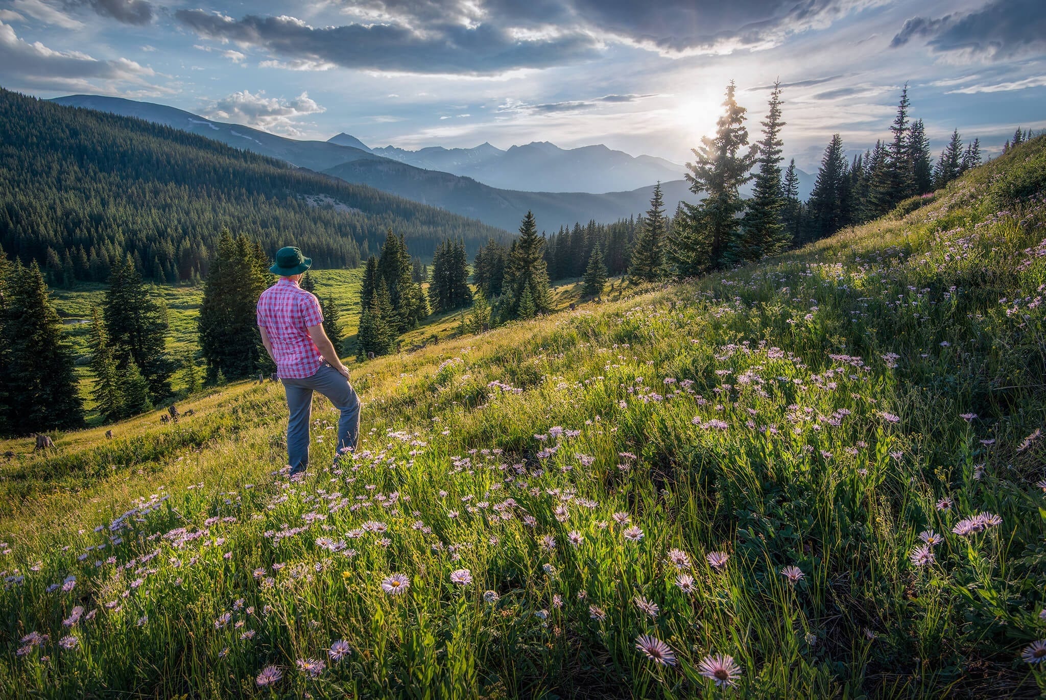 A Boreas Pass Wildflower hiker during the Golden Hour