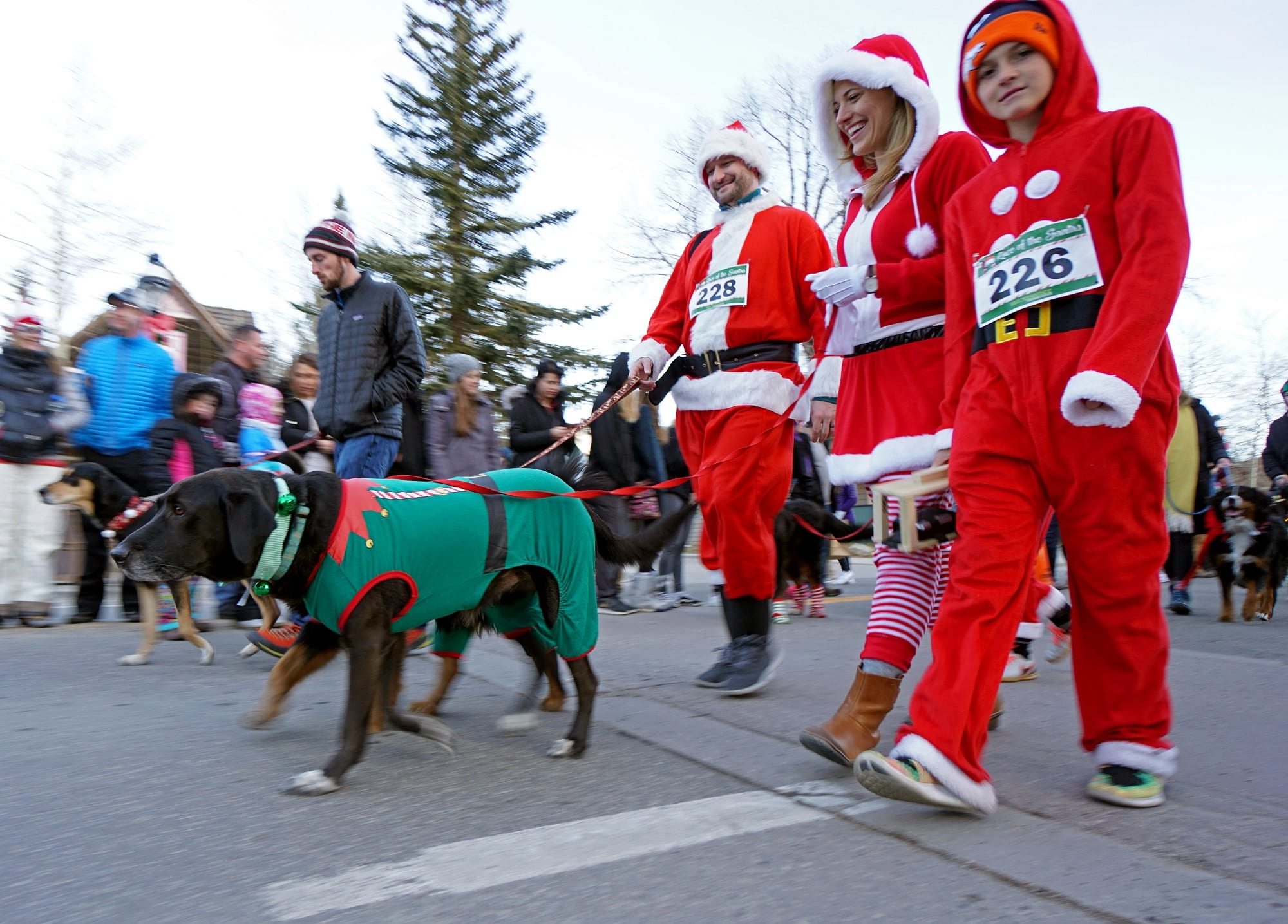 Walkers in costume with their dog during the Race of the Santas