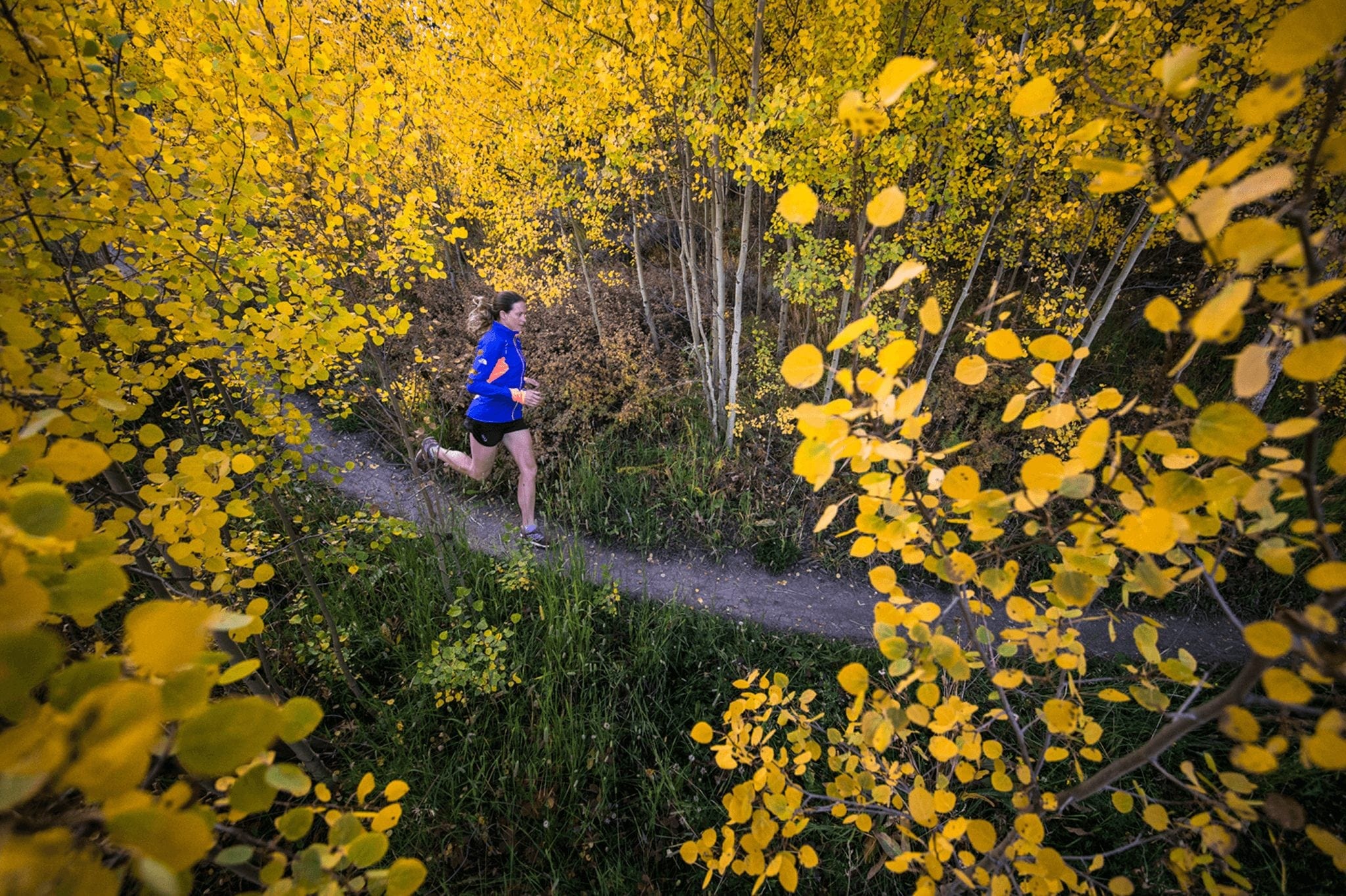 A female runner running through aspen trees in the fall. The Ultimate Breckenridge Experience requires one to be outside.