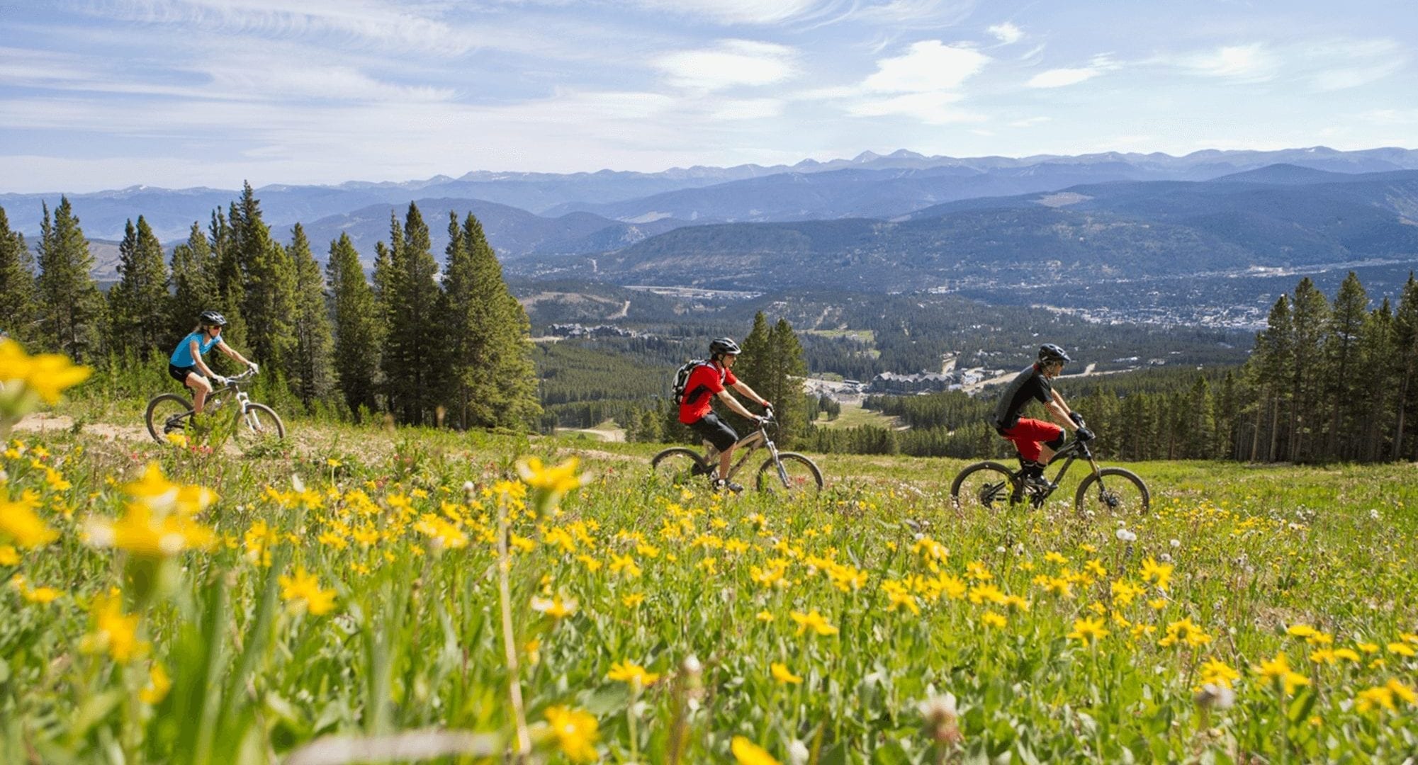 A group mountain biking through a field with yellow flowers 