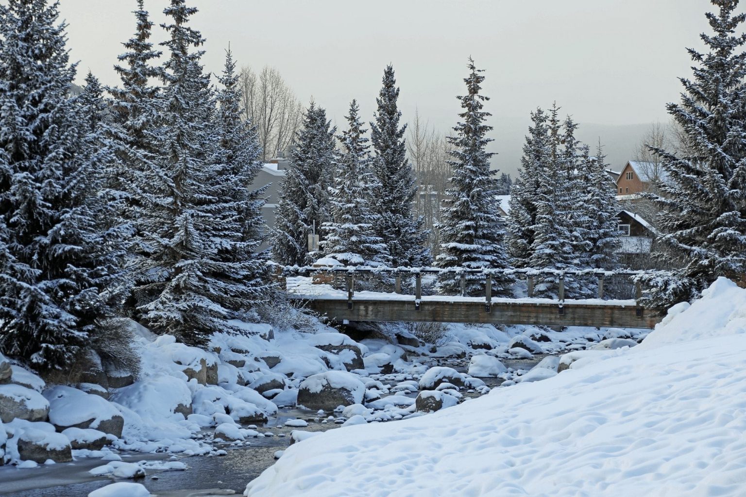 Beautiful View of Breckenridge Trees and River Covered in Snow