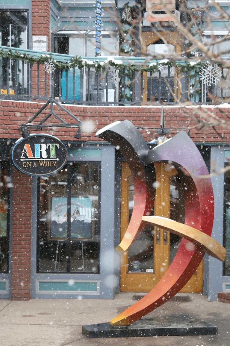 Art on a Whim gallery while snowing