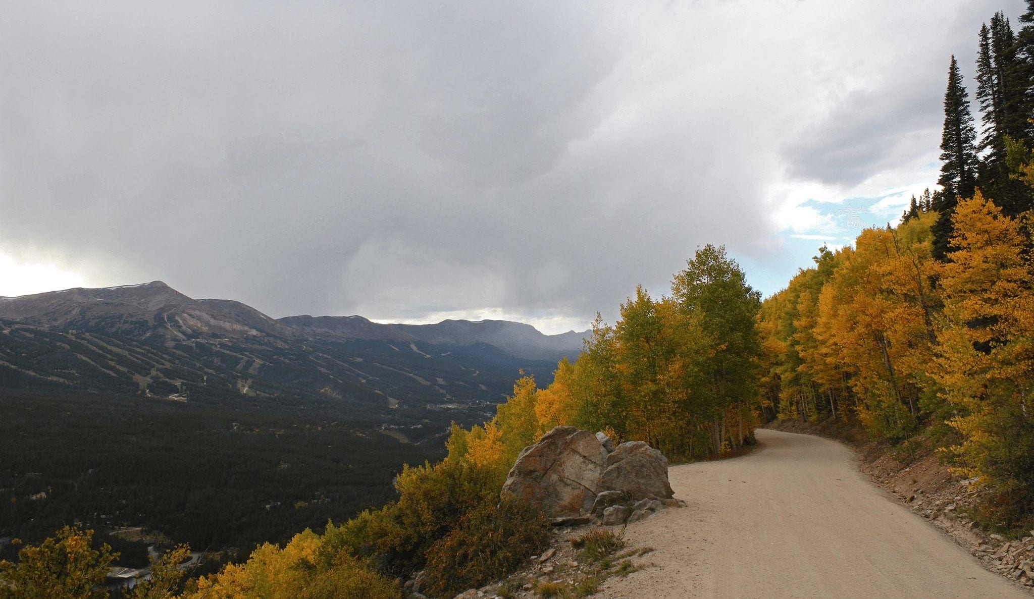 Fall trees on Boreas Pass Road in Breckenridge, the perfect place for fall photography.