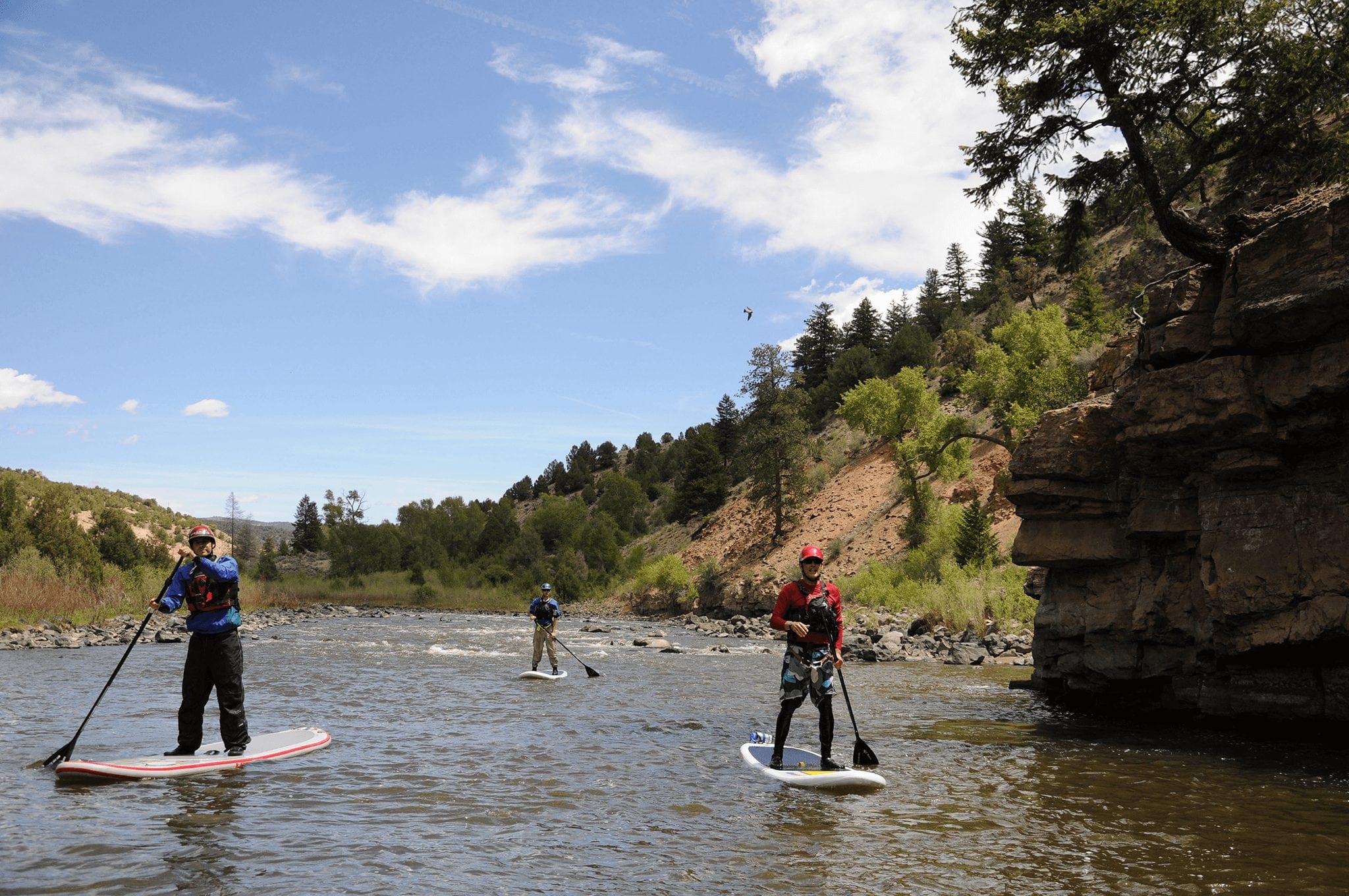 Group of people Paddleboarding on the river in Breckenridge.