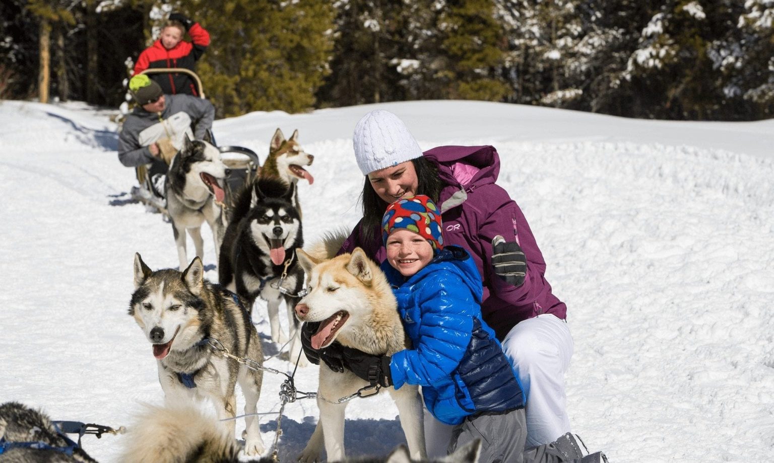 A girl and her mom hugging sled dogs during a dog sledding trip in Breckenridge