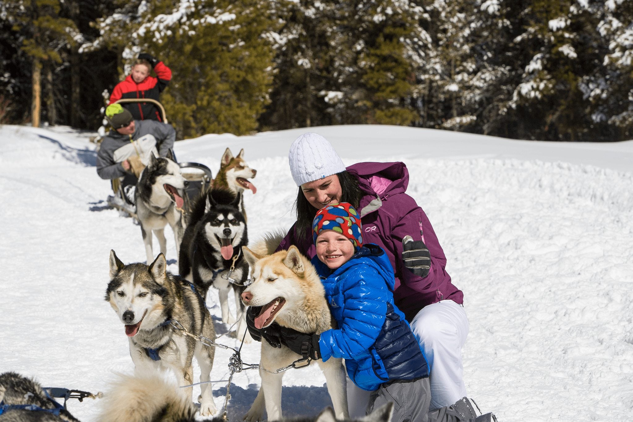 A girl and her mom hugging sled dogs during a dog sledding trip in Breckenridge