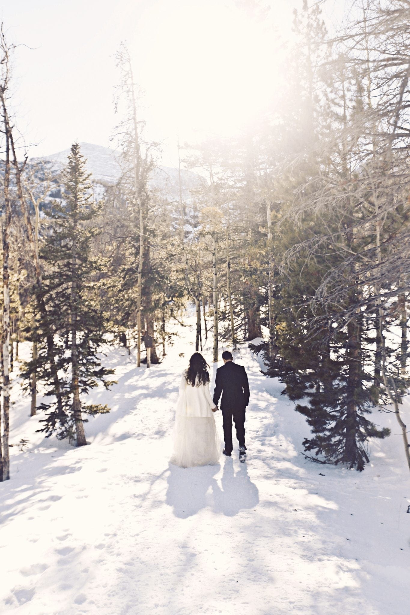 A wedded Couple Walking through the Woods on the snow