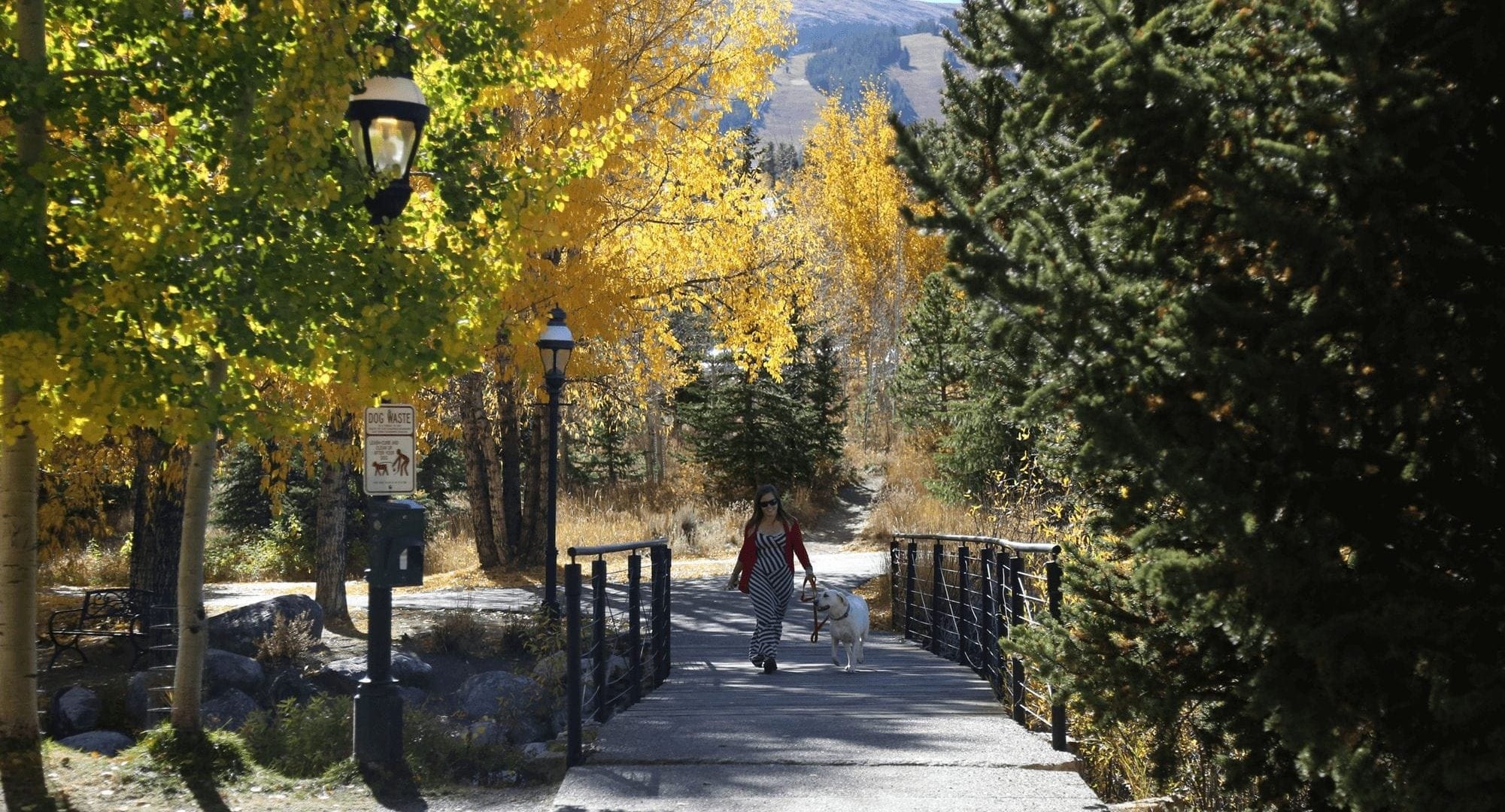 Woman walking her dog over a wooden bridge during the fall in Breckenridge.