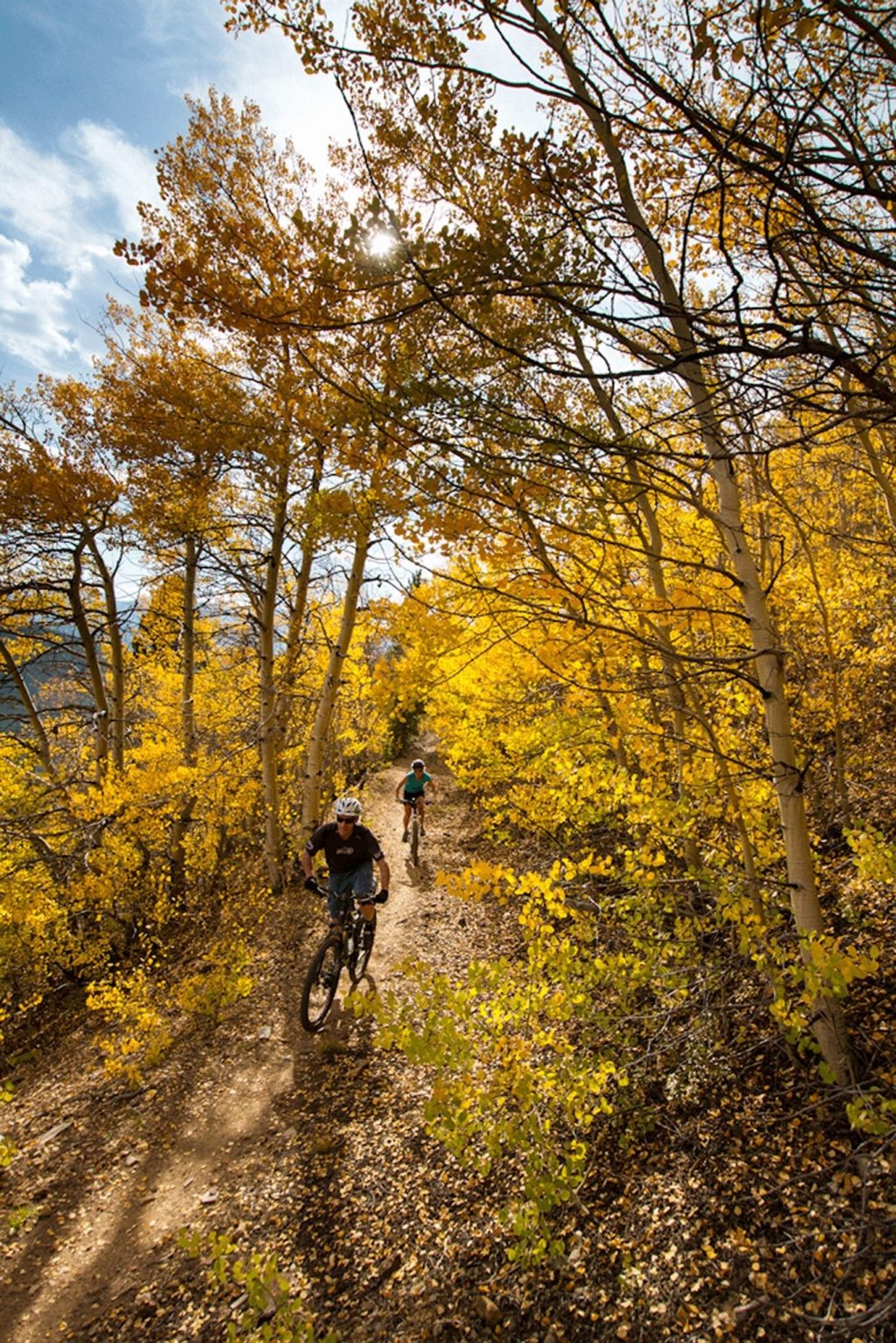 Couple Mountain Biking through Fall Trees