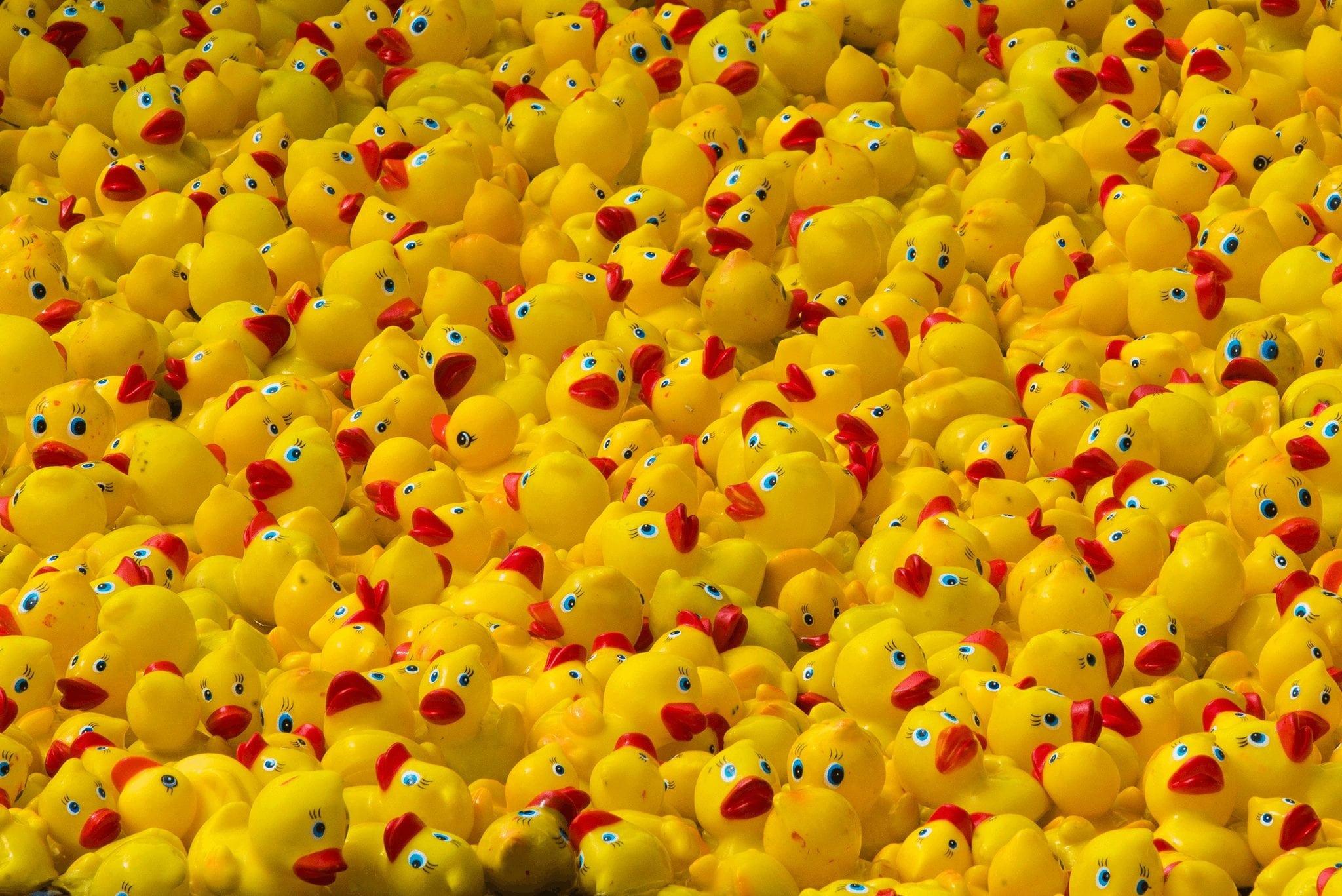 Pile of Ducks for Breckenridge Duck Race