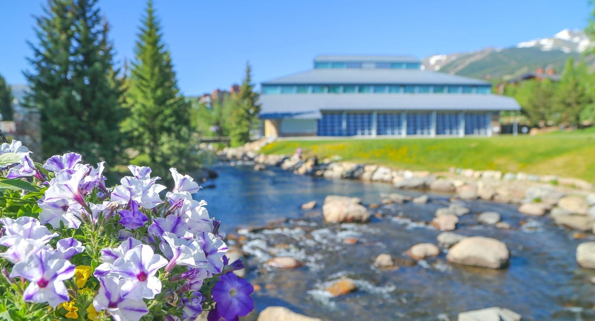Flowers on Blue River Plaza in Breckenridge in the summertime.
