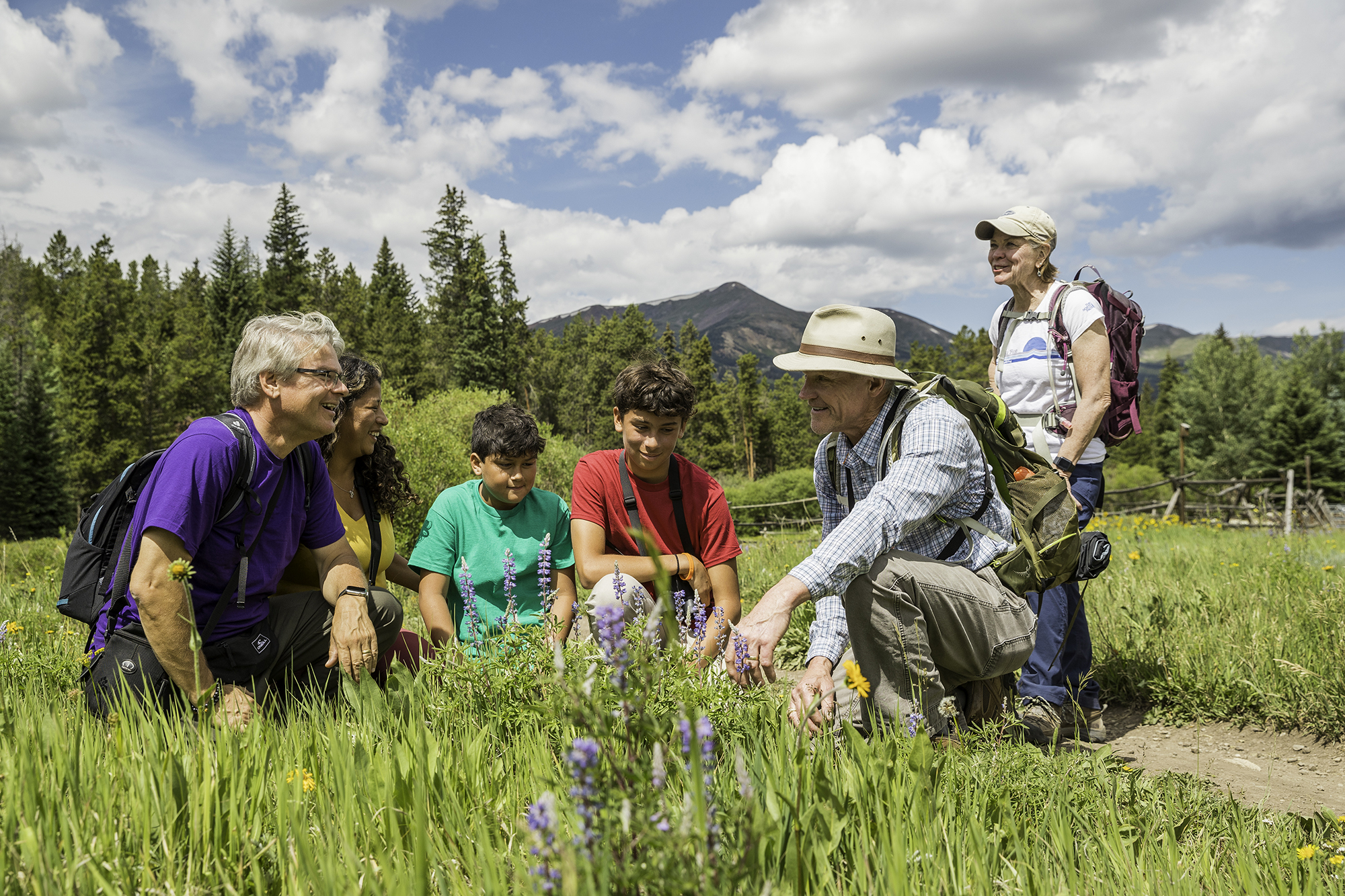 family and guide look at wildflowers with mountains in background