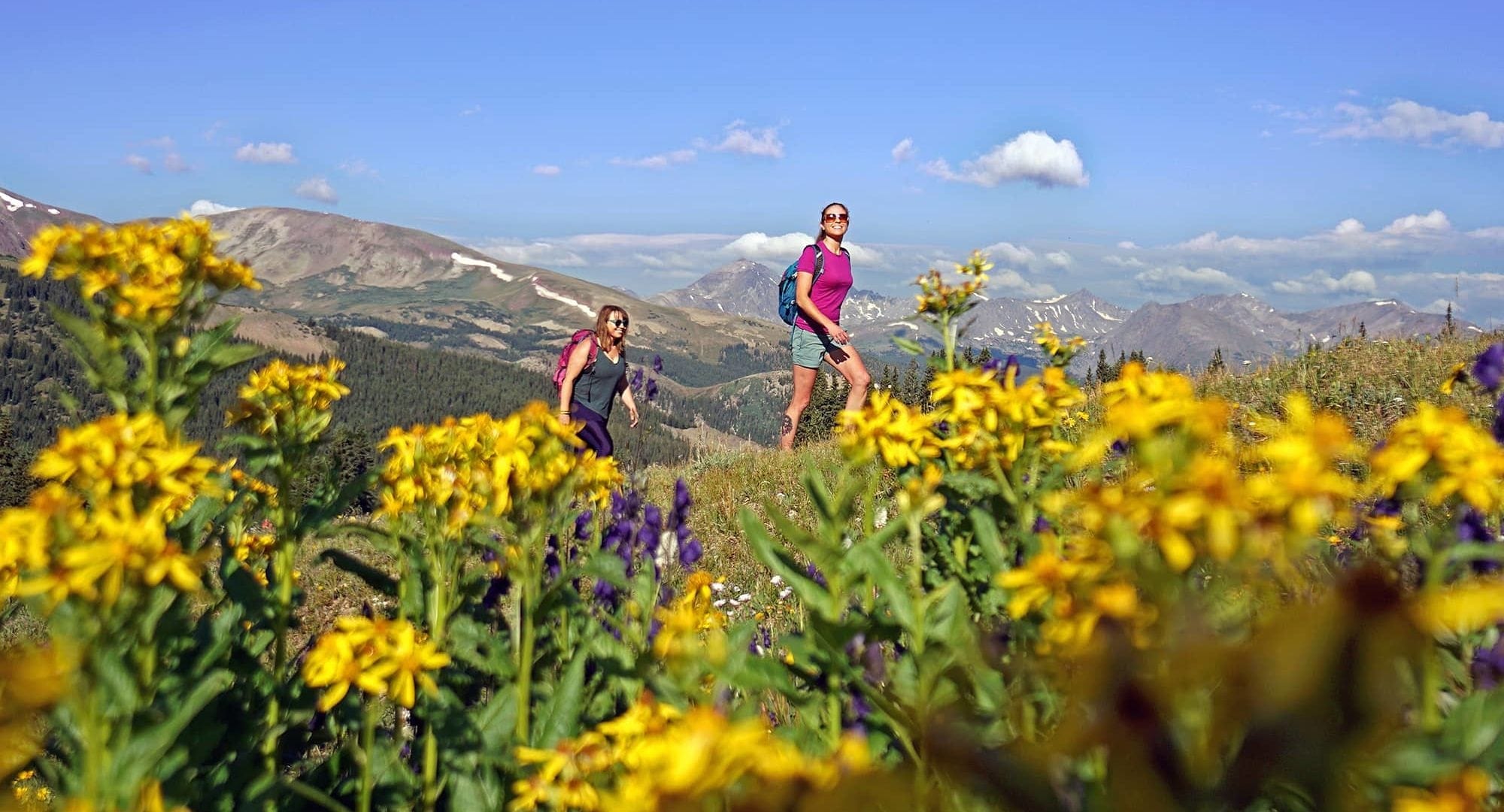 Breckenridge hikers among yellow wildflowers with a stunning view