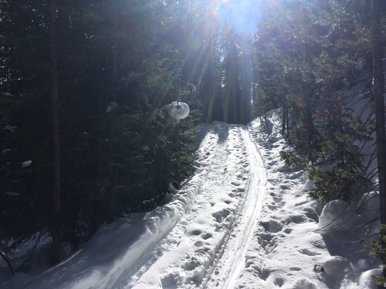 separate tracks in winter ski and hike.