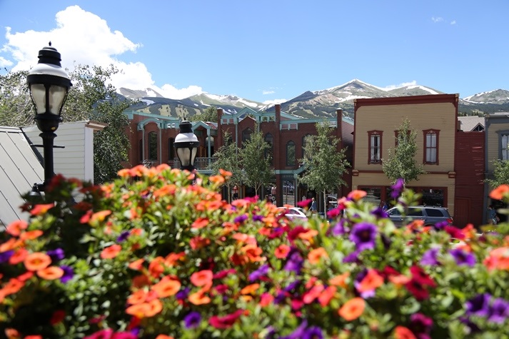 flowers and stores in Breckenridge
