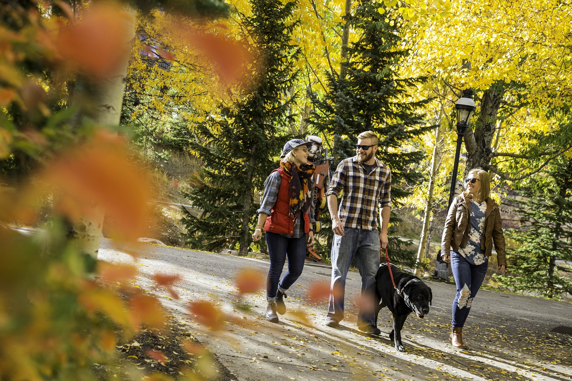 A group walking a dog in downtown Breckenridge during the fall