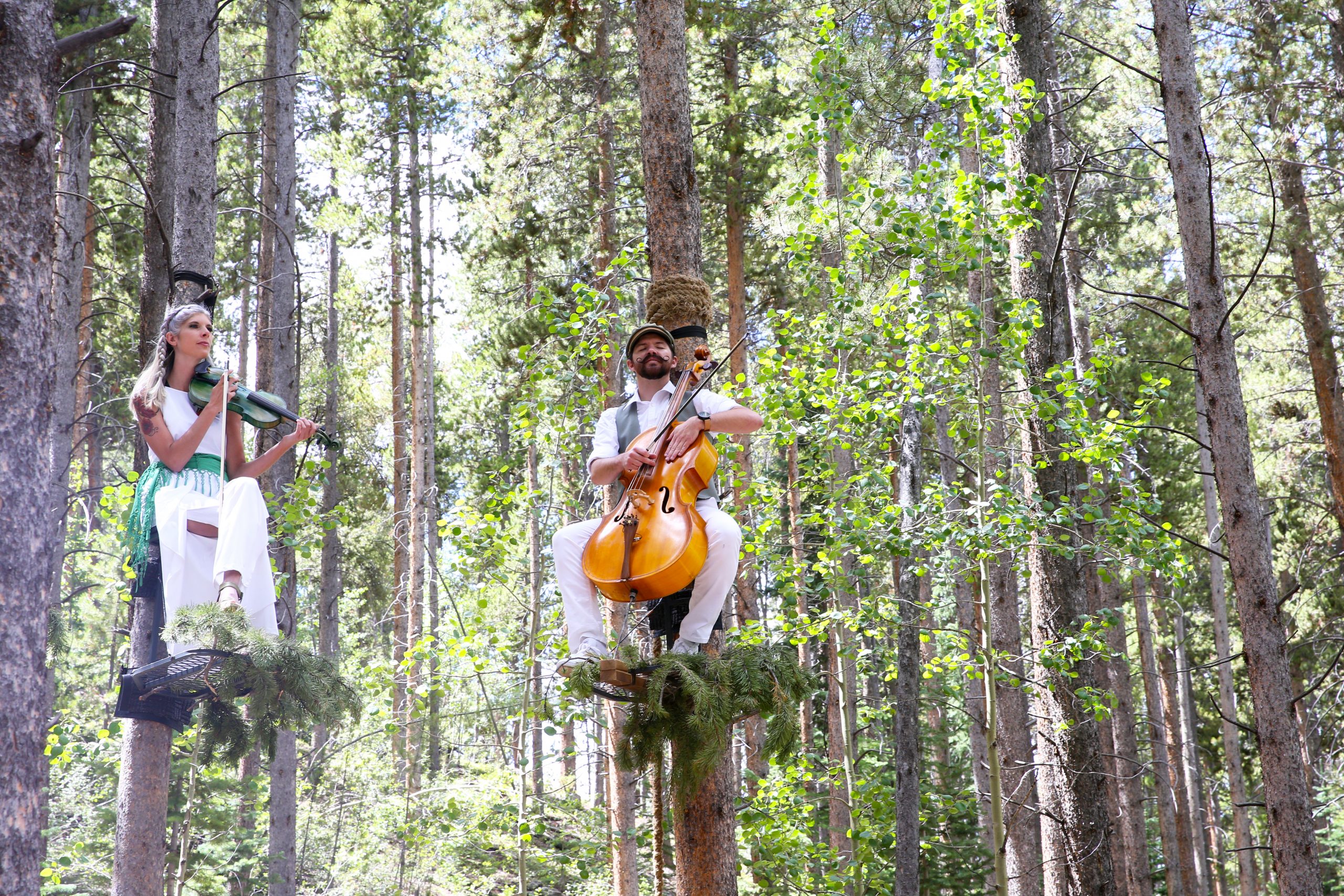 Two musicians, one playing a violin, the other playing a cello, perched half-way up pine trees in the middle of the forest in Breckenridge for the Breckenridge International Fine Arts Festival.