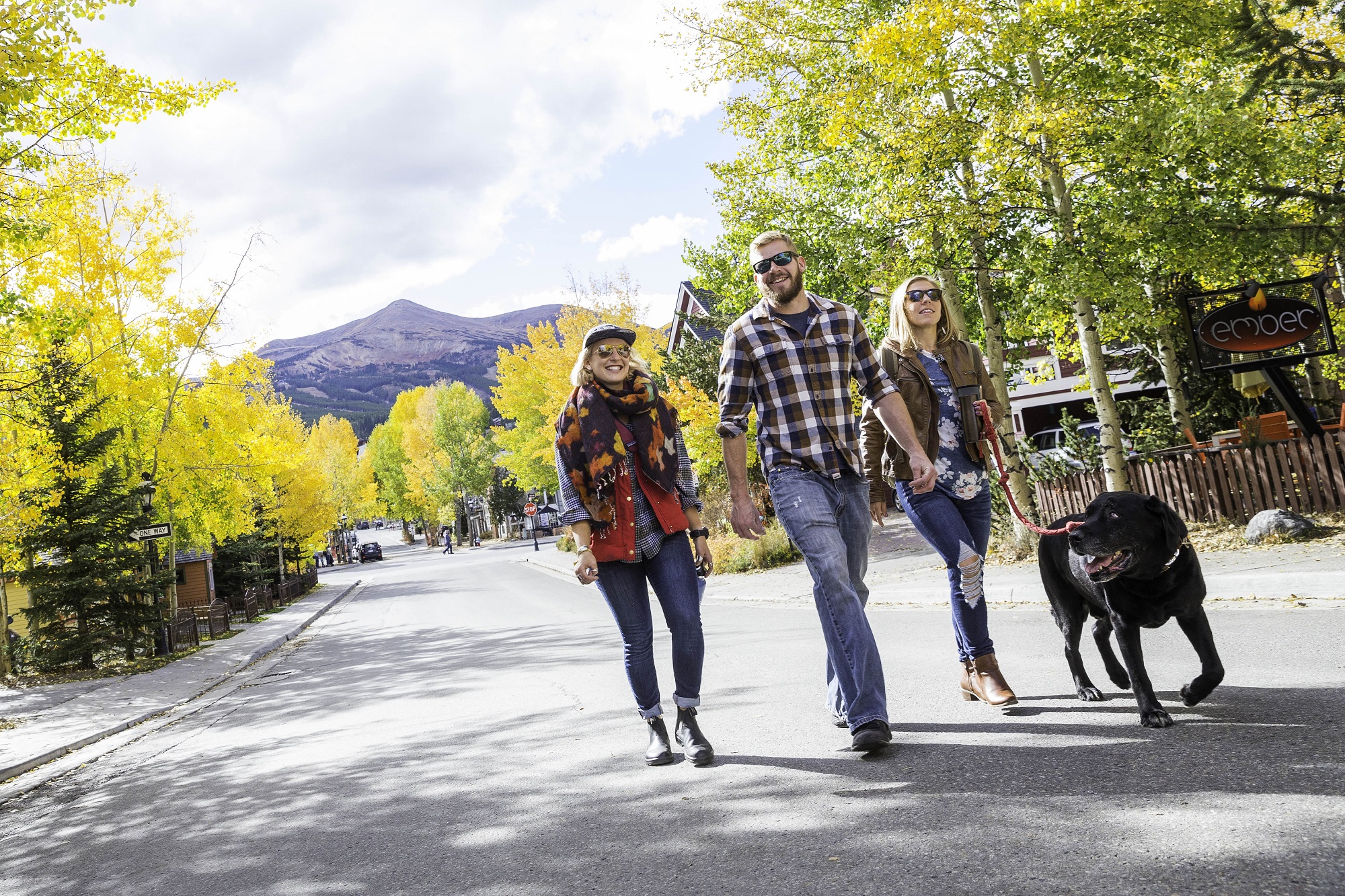 A group of friends walking their dog in downtown Breck