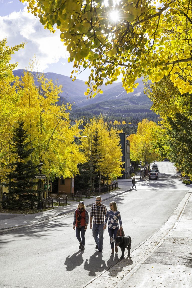 A group of friends walking their dog in downtown Breck