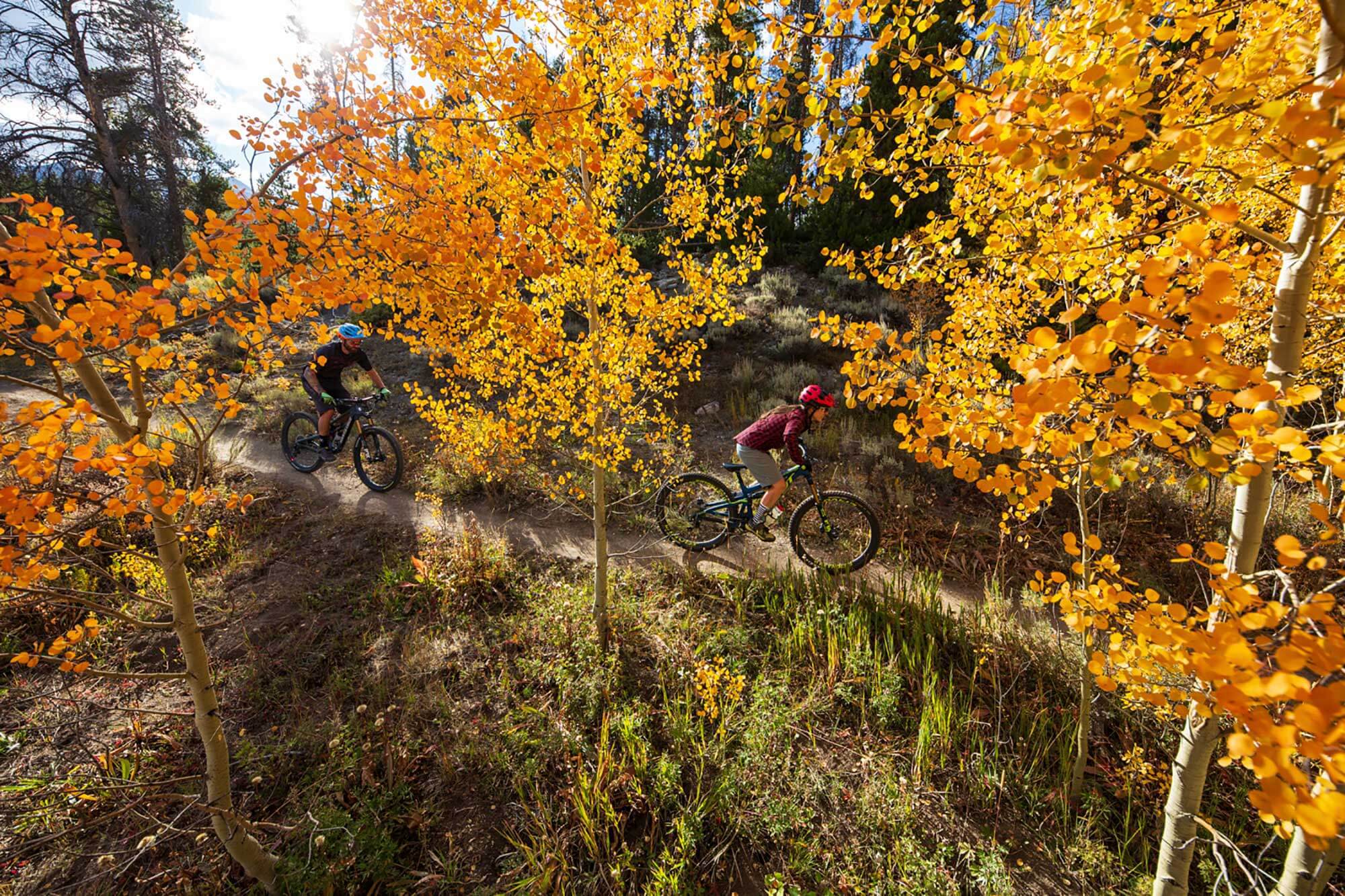 two people mountain bike on single track surrounded by golden aspens in Breckenridge, CO