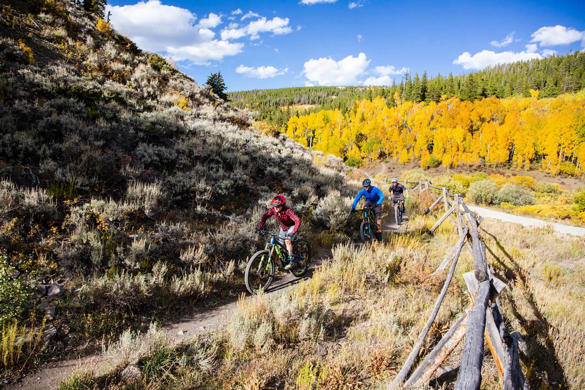 mountain bikers on fall bike trail in Breckenridge, CO