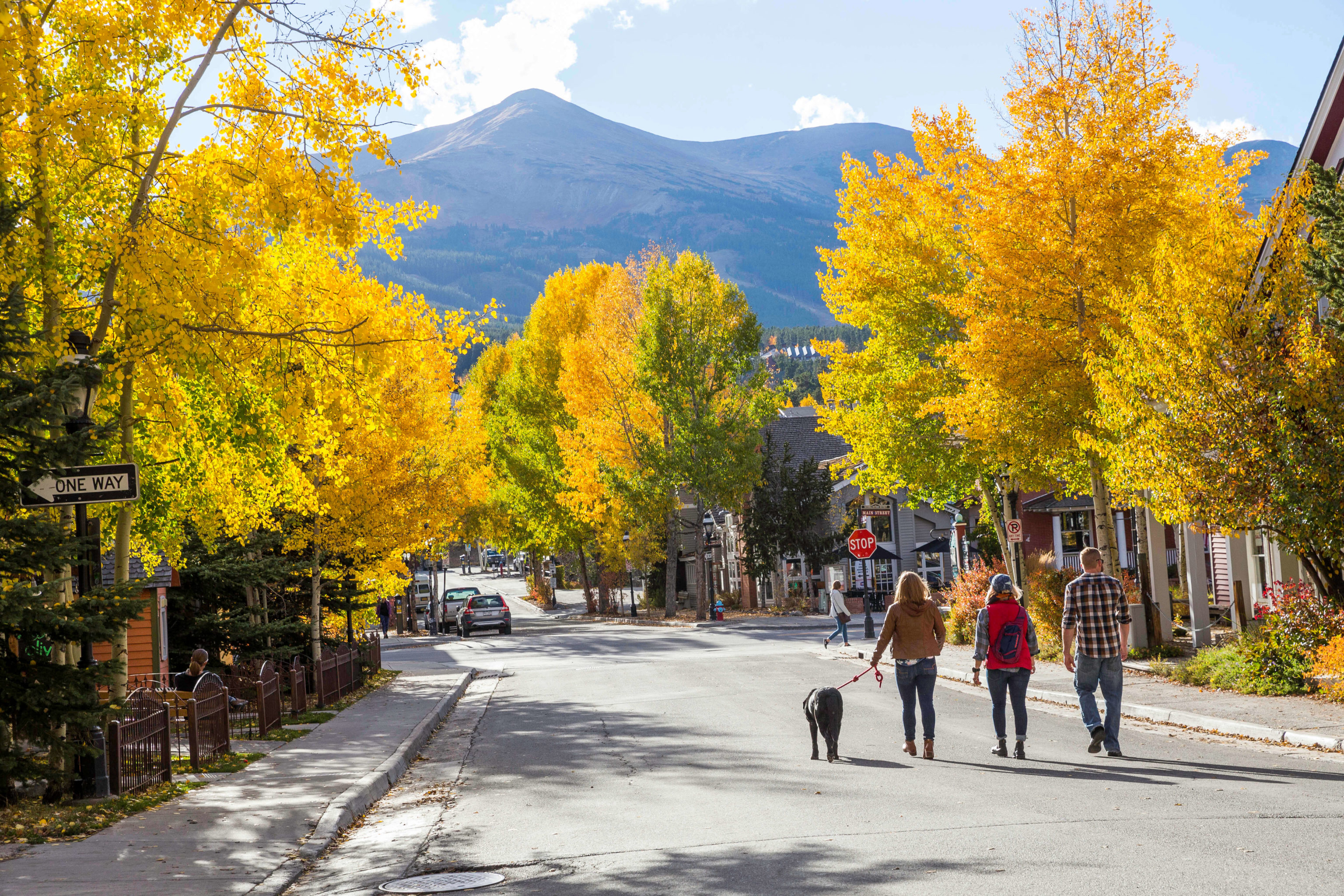 Group and dog walking on Main Street in fall at Breckenridge 
