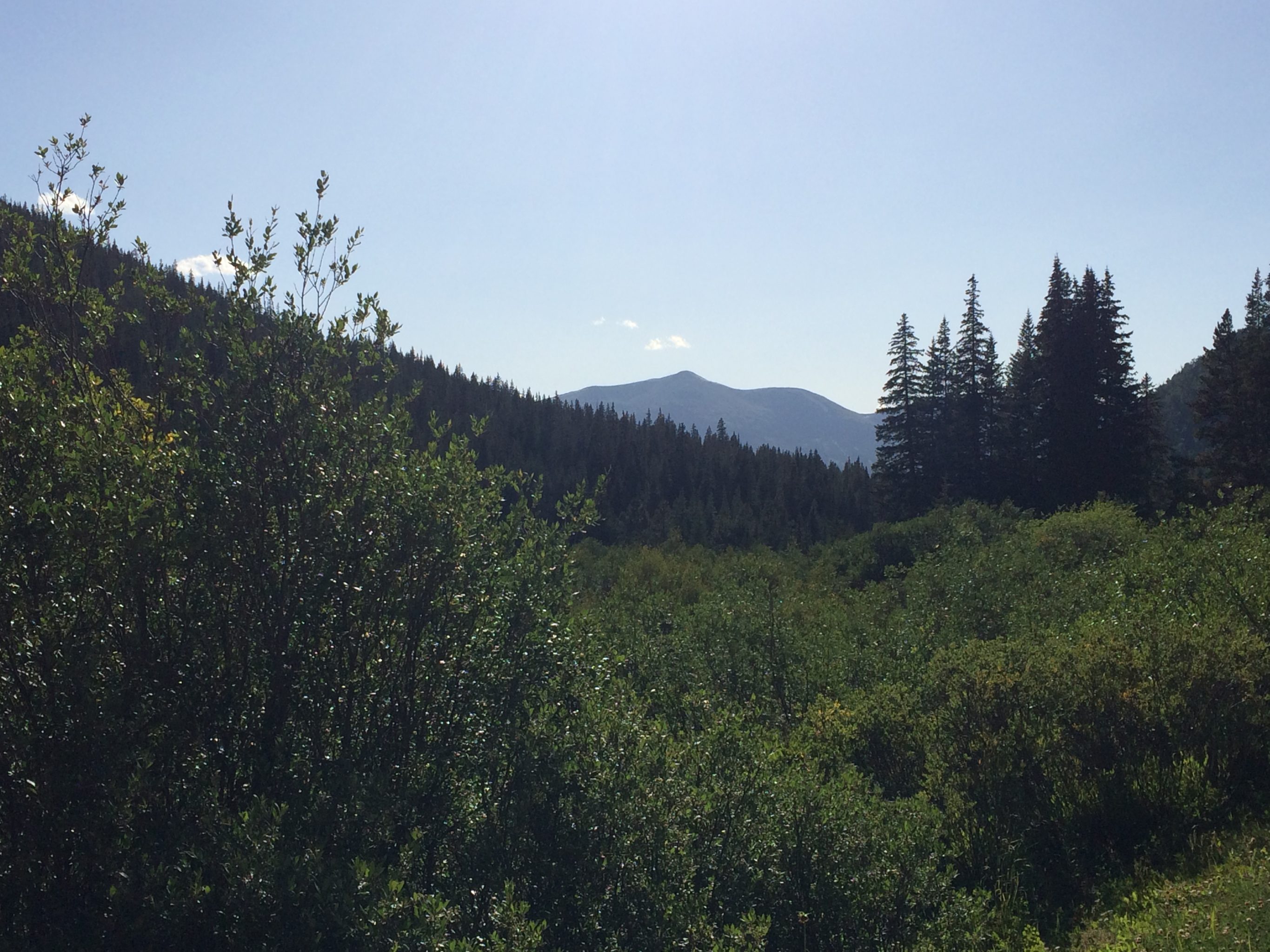 View of greenery and mountains in the French Gulch area of Breckenridge, CO