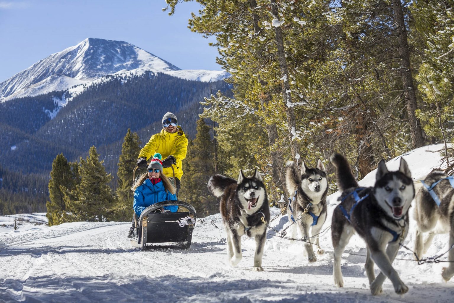 A guided dog sledding adventure through the snow at Breckenridge