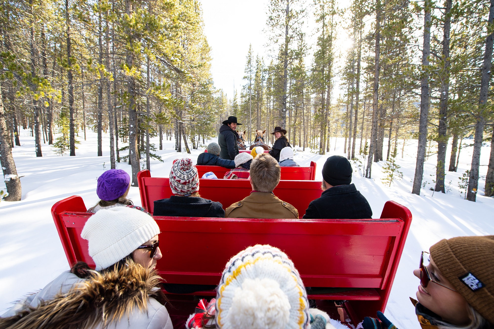 Crowd on a sleigh ride in Breckenridge
