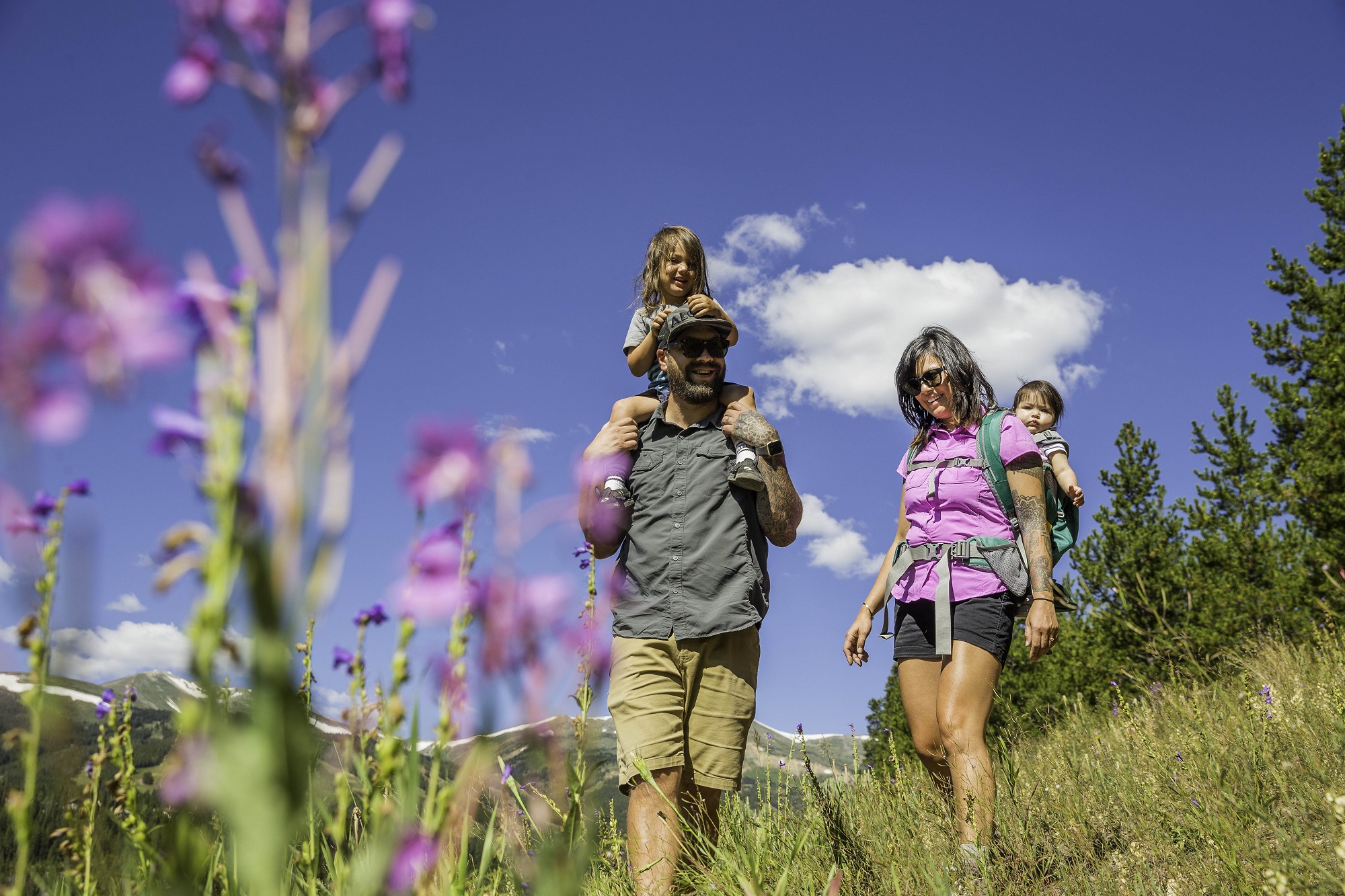 family hiking through wildflowers in Breckenridge