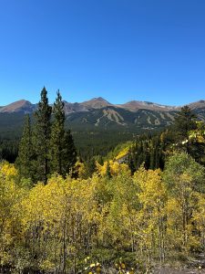 Fall leaves and mountains