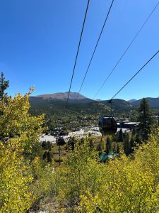 trees, gondola and breckenrdige!