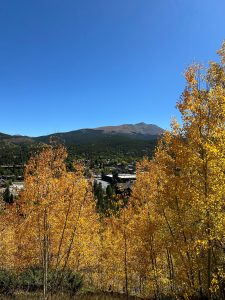 Fall trees and mountains.