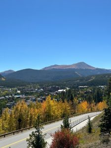 fall leaves and mountains