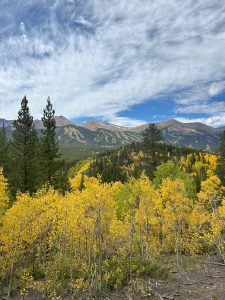 Fall leaves and mountains