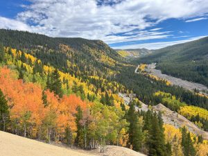 Gorgeous fall colors in the mountains.