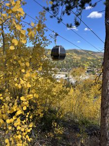 Fall trees and a gondola.