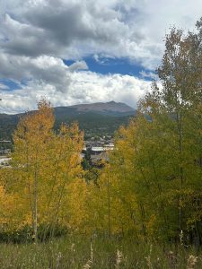 Golden aspen trees with mountains in the background