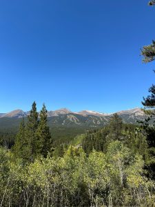 Green aspen trees and mountains