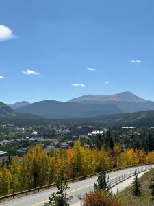 Fall leaves and mountains.