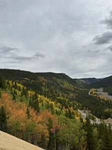 Fall leaves and mountains