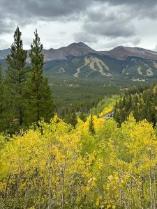 Fall leaves and mountains