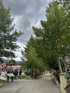 Green tress along Main Street in Breckenridge, Colorado.